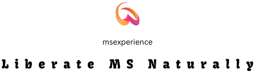 MS Experience